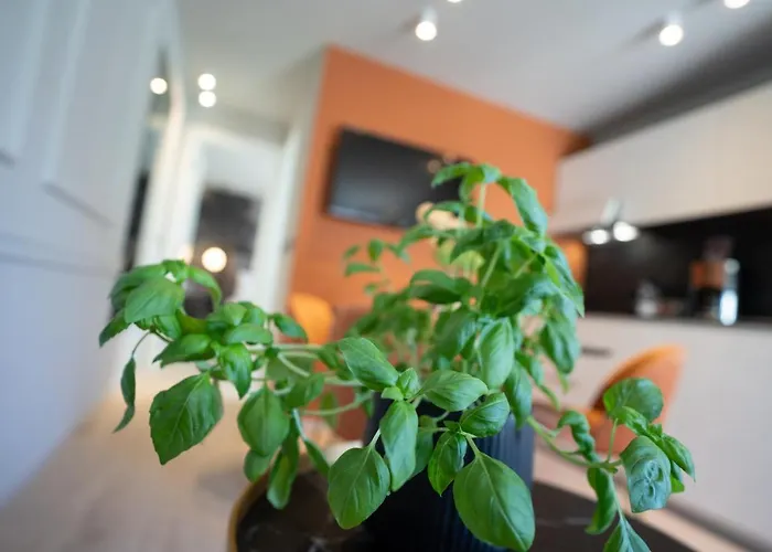 Prestige Apartamento Rovinj