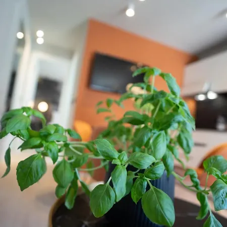 Prestige Apartment Rovinj